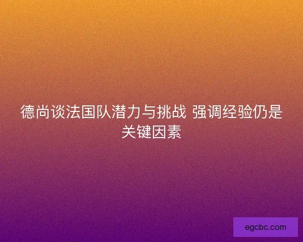 德尚谈法国队潜力与挑战 强调经验仍是关键因素
