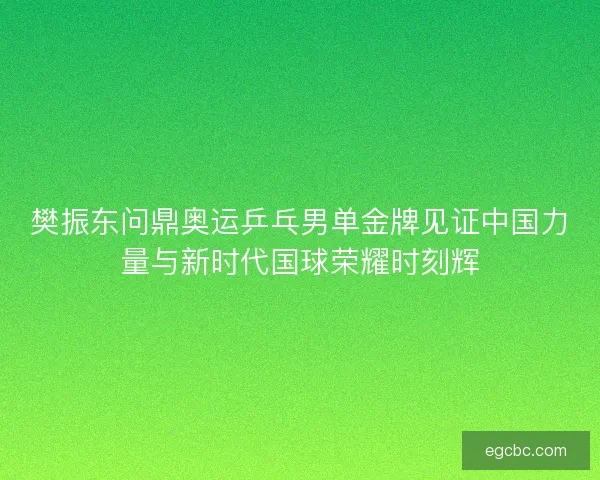 樊振东问鼎奥运乒乓男单金牌见证中国力量与新时代国球荣耀时刻辉